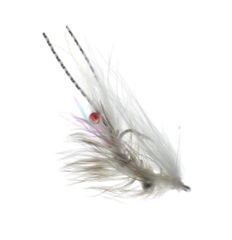 Chewy's Halo Shrimp - Grizzly